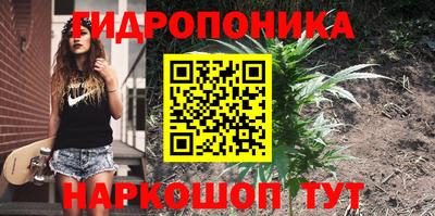 кокс Кимры