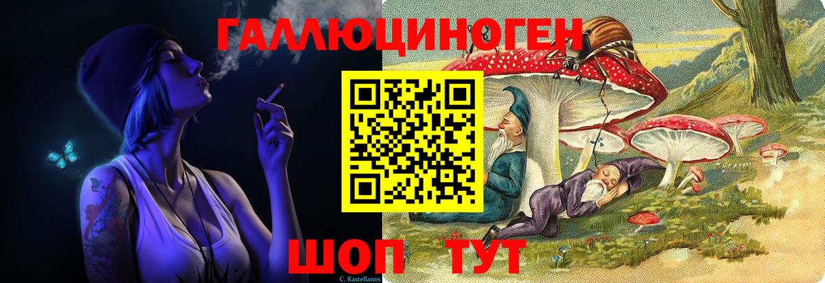 Псилоцибиновые грибы Cubensis Кудрово