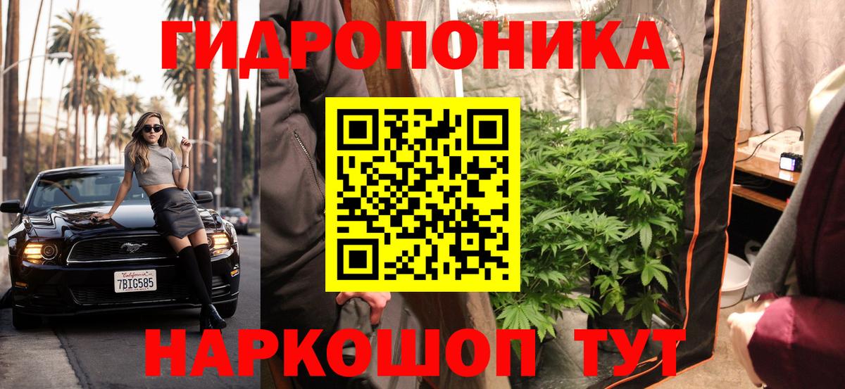 Бошки Шишки планчик  Марихуана VHQ  Кудрово  Шишки марихуана план  Марихуана марихуана  Вход с VPN 